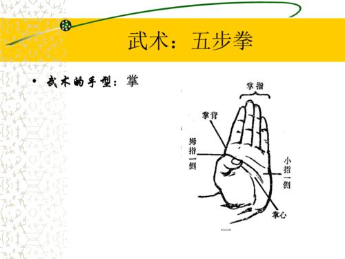 易筋经功法的手型和步型有哪些