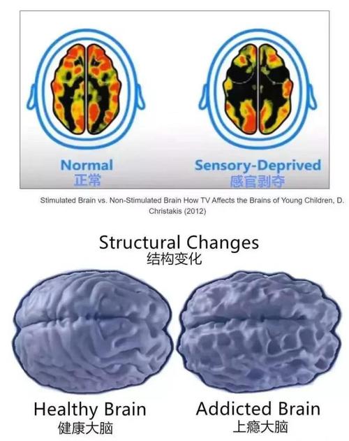 什么是对于精神刺激的抵抗能力？ A.心理活动的强度 B.心理活动耐受力 C.心理活动 D.自控力